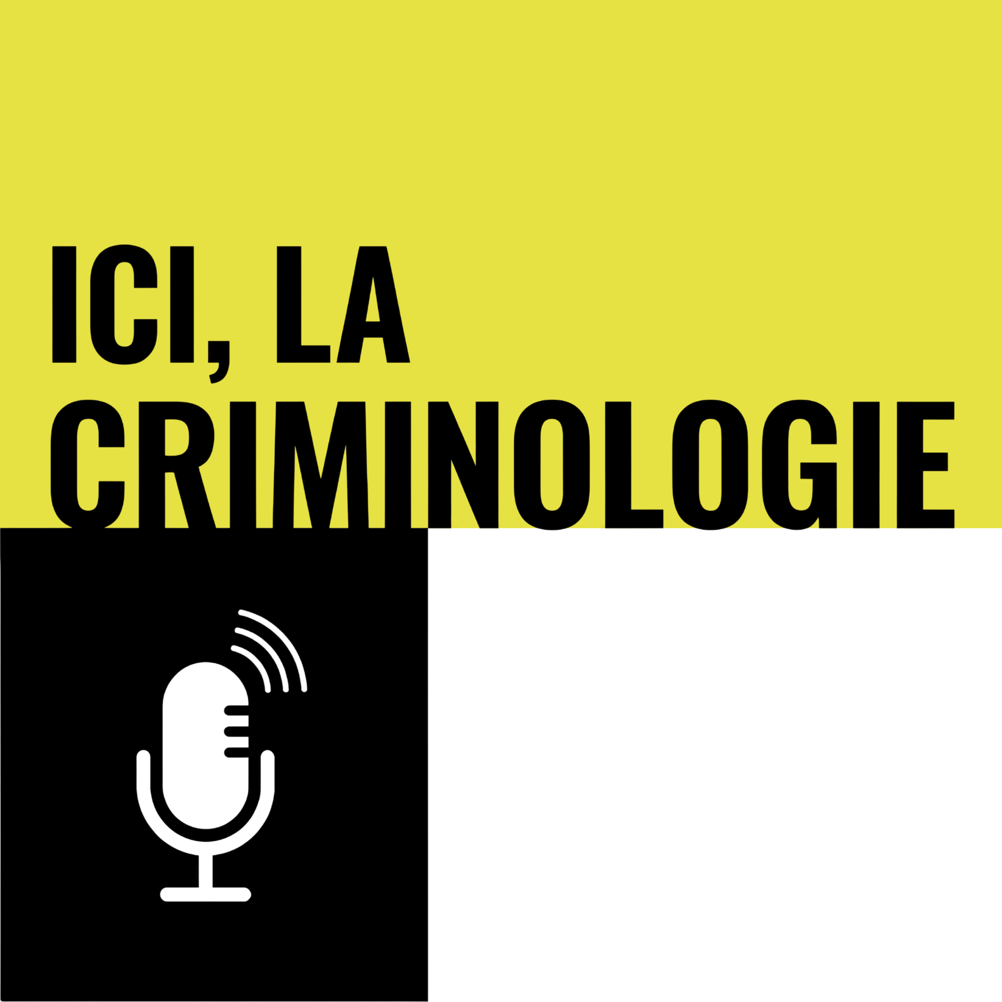 ici-la-crimino_visuel