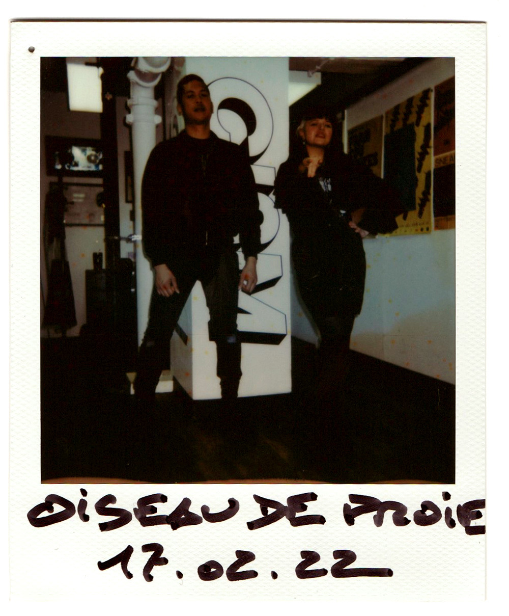 session-live-oiseaudeproie