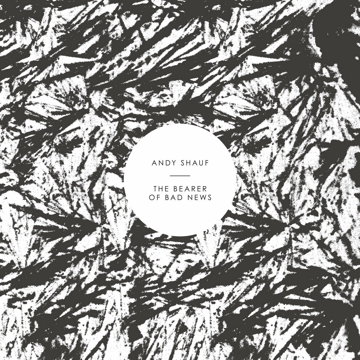andyshauf