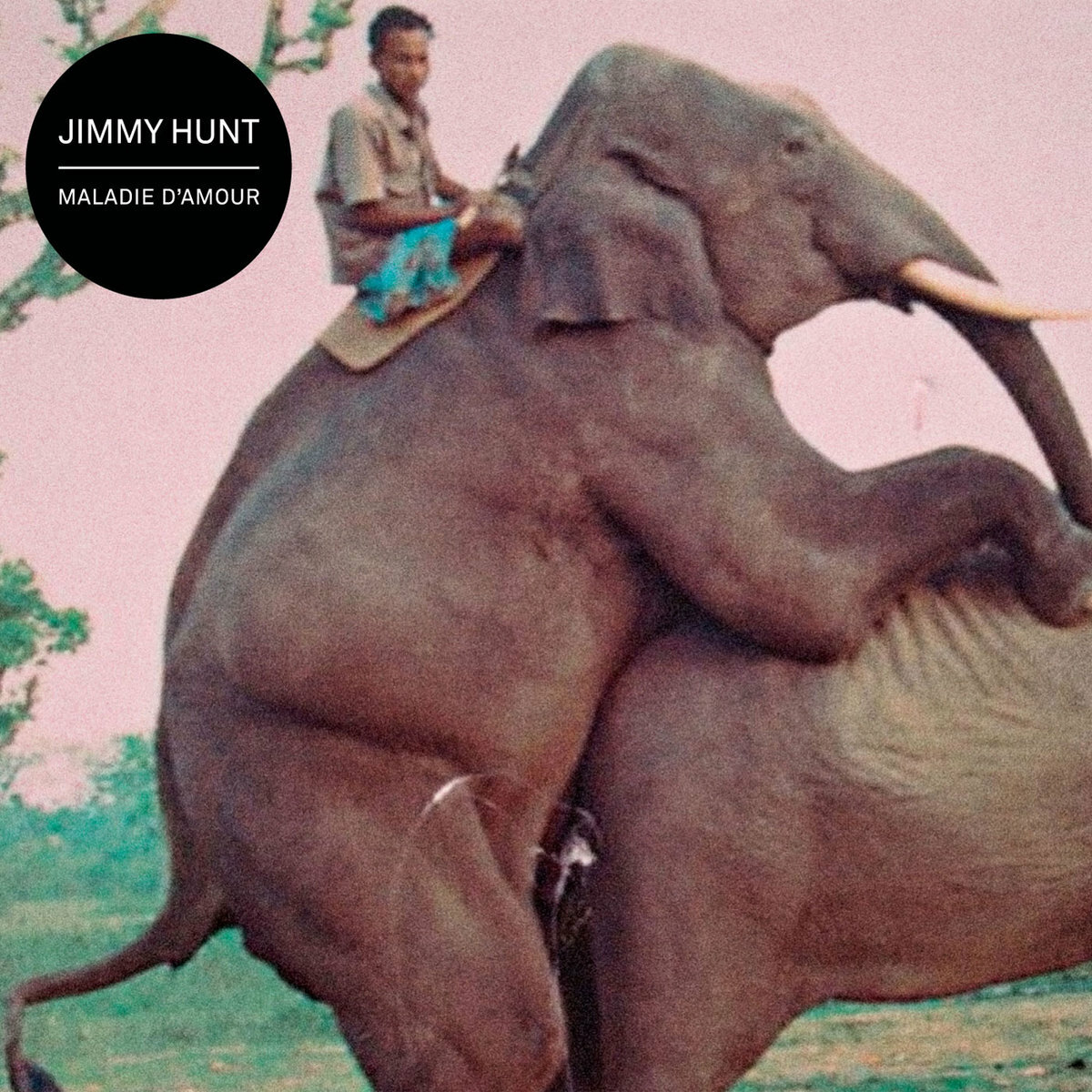 jimmyhunt