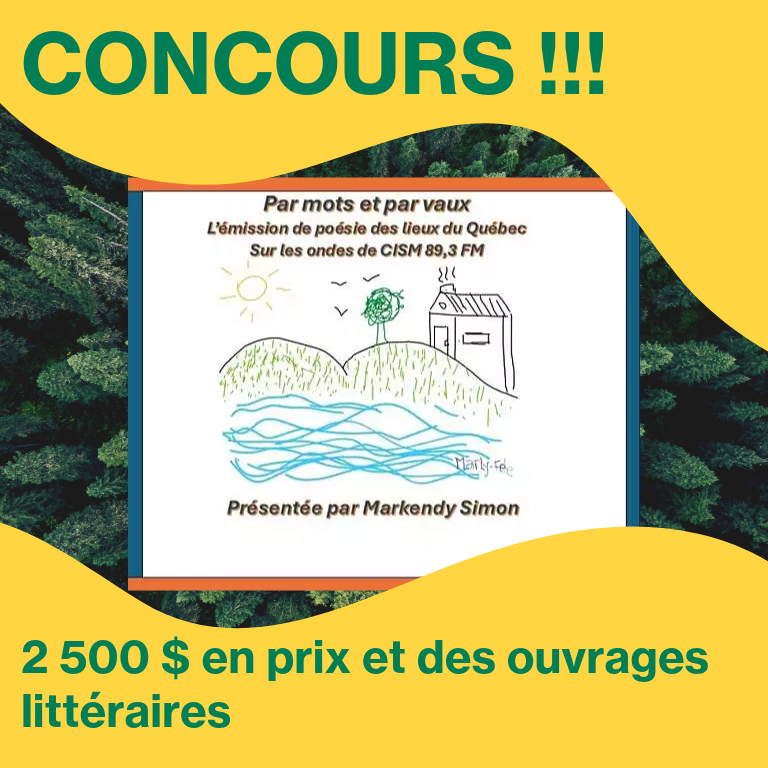 Sans-titre-1_2026-02-10-162543_nevd
