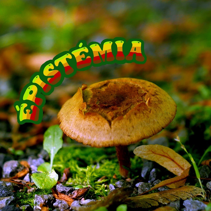 epistemia3