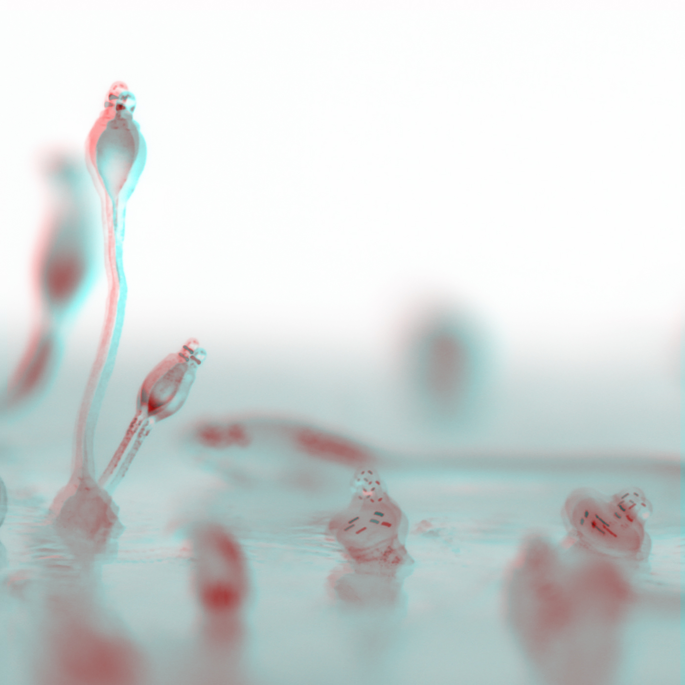 Symbiose