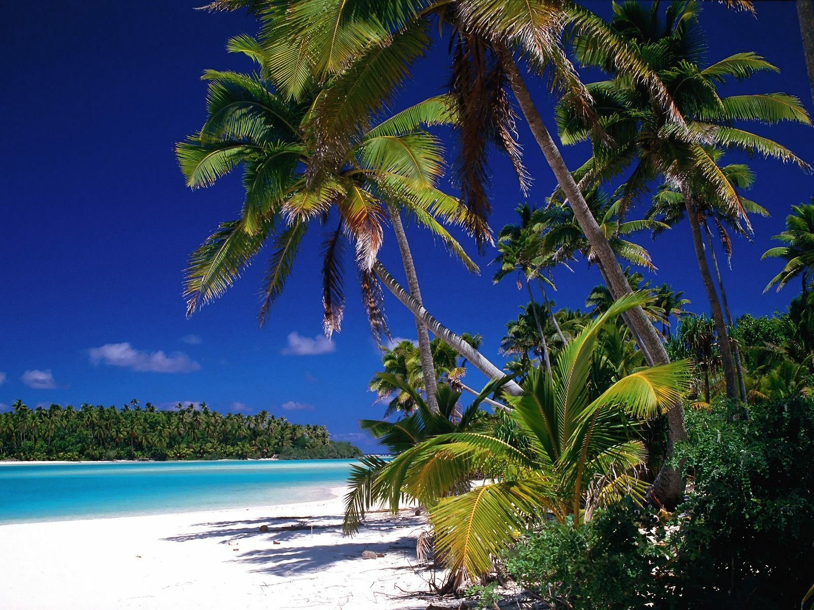 voixtropical