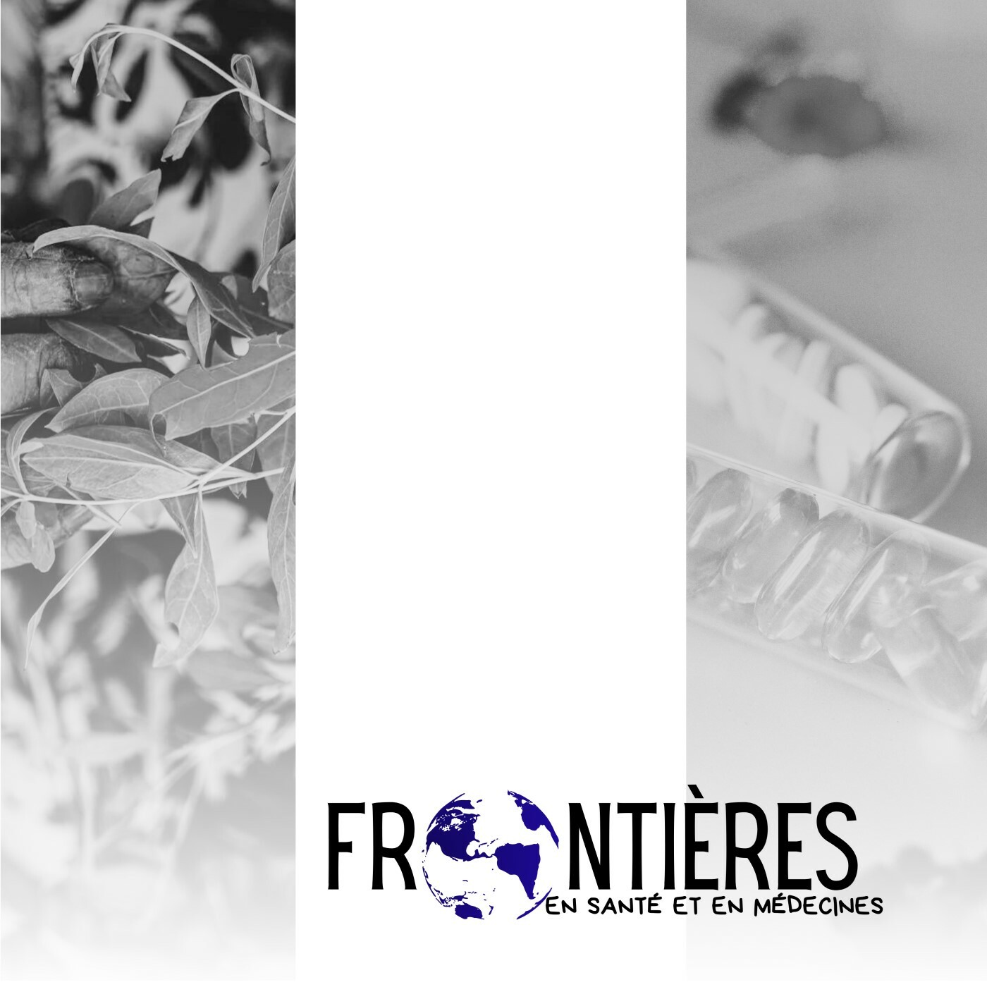 Affiche-Frontieres-carre